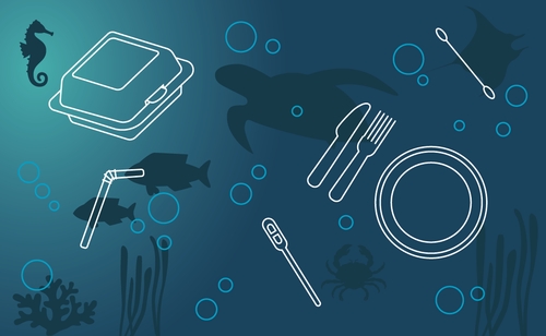 Egyszer használatos műanyagok korlátozása – Európai bizottsági tájékoztató oldal