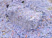 EuRIC Updated statement on the critical situation faced by the European paper recycling sector