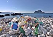 Single-use plastics directive published